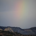 _DSC1129