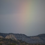 _DSC1129 2