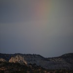 _DSC1131