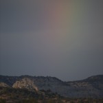 _DSC1131_2