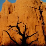 kodachrome state park