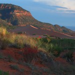 paintbrush dune