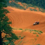 pics 019