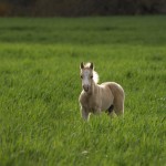 pics 056