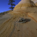 print johnson hoodoo