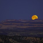 zion moon adjust print