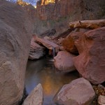 zion reflect